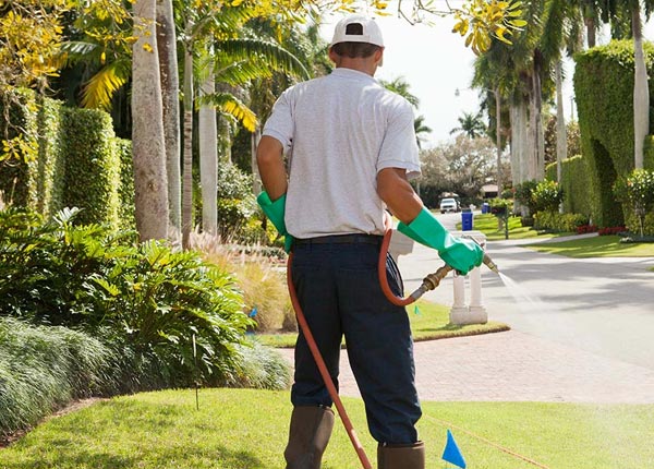 About Greene ME Pest Control Pros